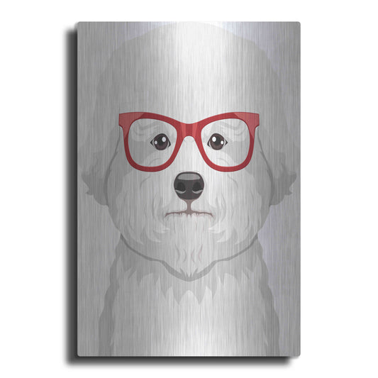 Luxe Metal Art 'Bichon Wearing Hipster Glasses' by Furbaby Affiliates, Metal Wall Art