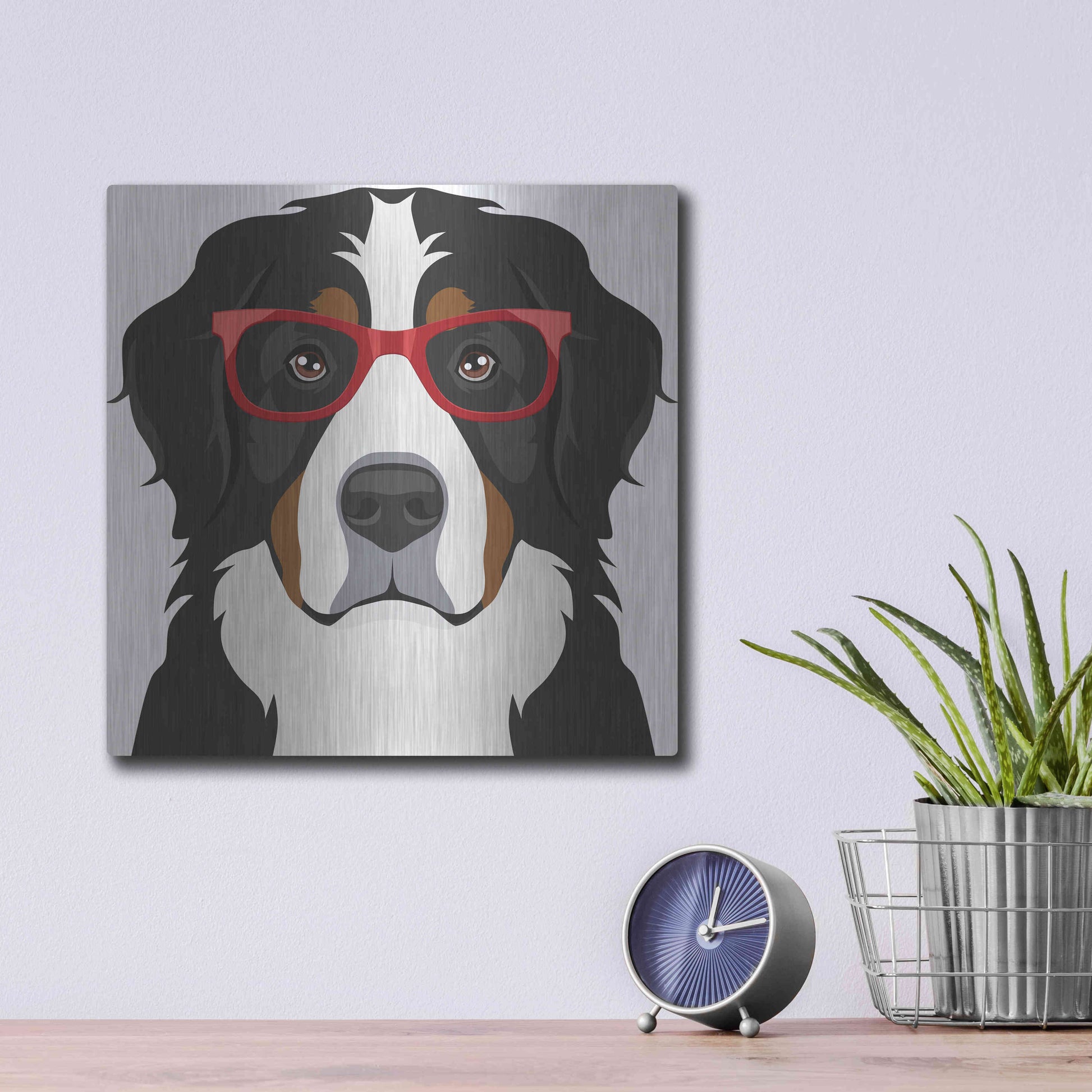 Luxe Metal Art 'Bernese Mountain Dog Wearing Hipster Glasses' by Furbaby Affiliates, Metal Wall Art,12x12