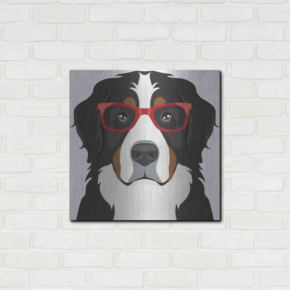 Luxe Metal Art 'Bernese Mountain Dog Wearing Hipster Glasses' by Furbaby Affiliates, Metal Wall Art,24x24