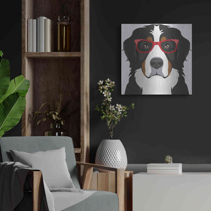 Luxe Metal Art 'Bernese Mountain Dog Wearing Hipster Glasses' by Furbaby Affiliates, Metal Wall Art,24x24