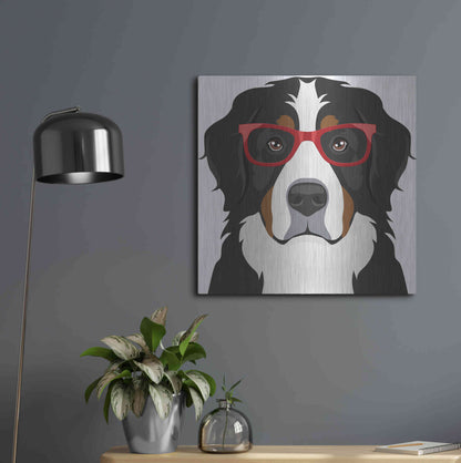 Luxe Metal Art 'Bernese Mountain Dog Wearing Hipster Glasses' by Furbaby Affiliates, Metal Wall Art,24x24