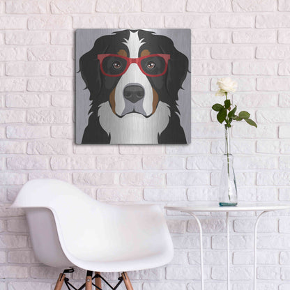 Luxe Metal Art 'Bernese Mountain Dog Wearing Hipster Glasses' by Furbaby Affiliates, Metal Wall Art,24x24