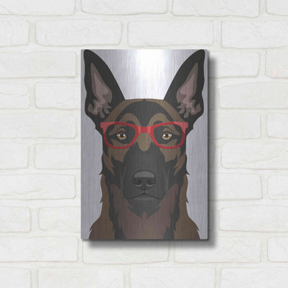 Luxe Metal Art 'Belgian Malinois Wearing Hipster Glasses' by Furbaby Affiliates, Metal Wall Art,12x16