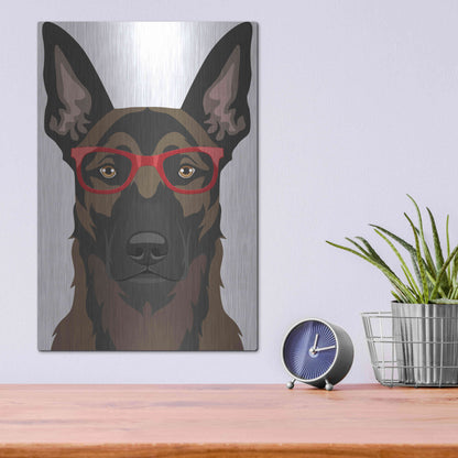 Luxe Metal Art 'Belgian Malinois Wearing Hipster Glasses' by Furbaby Affiliates, Metal Wall Art,12x16