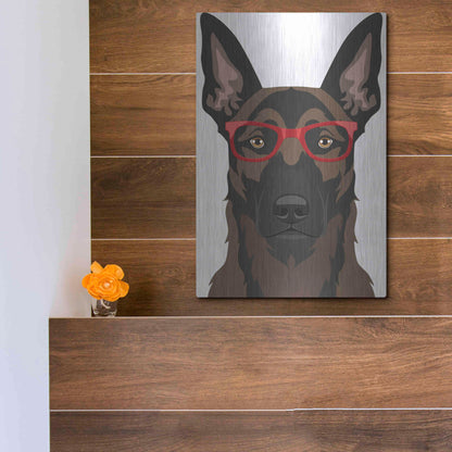 Luxe Metal Art 'Belgian Malinois Wearing Hipster Glasses' by Furbaby Affiliates, Metal Wall Art,12x16