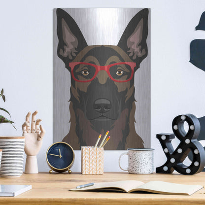 Luxe Metal Art 'Belgian Malinois Wearing Hipster Glasses' by Furbaby Affiliates, Metal Wall Art,12x16