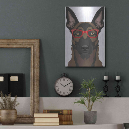 Luxe Metal Art 'Belgian Malinois Wearing Hipster Glasses' by Furbaby Affiliates, Metal Wall Art,12x16