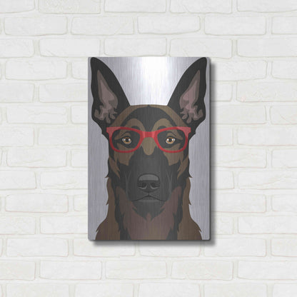 Luxe Metal Art 'Belgian Malinois Wearing Hipster Glasses' by Furbaby Affiliates, Metal Wall Art,16x24