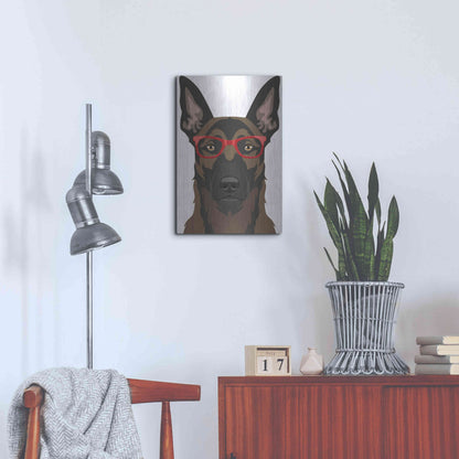 Luxe Metal Art 'Belgian Malinois Wearing Hipster Glasses' by Furbaby Affiliates, Metal Wall Art,16x24