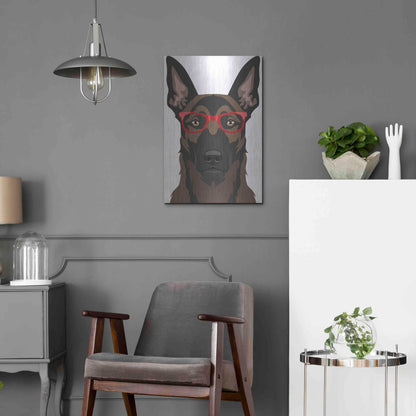 Luxe Metal Art 'Belgian Malinois Wearing Hipster Glasses' by Furbaby Affiliates, Metal Wall Art,16x24
