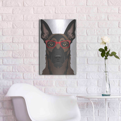 Luxe Metal Art 'Belgian Malinois Wearing Hipster Glasses' by Furbaby Affiliates, Metal Wall Art,16x24