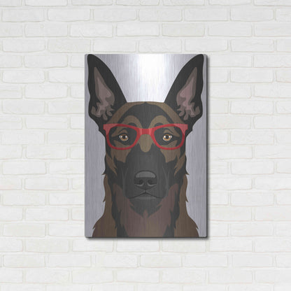 Luxe Metal Art 'Belgian Malinois Wearing Hipster Glasses' by Furbaby Affiliates, Metal Wall Art,24x36