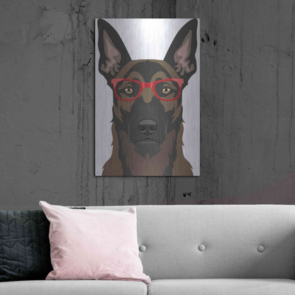 Luxe Metal Art 'Belgian Malinois Wearing Hipster Glasses' by Furbaby Affiliates, Metal Wall Art,24x36