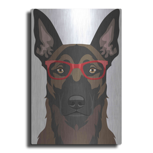 Luxe Metal Art 'Belgian Malinois Wearing Hipster Glasses' by Furbaby Affiliates, Metal Wall Art