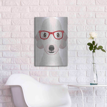 Luxe Metal Art 'Bedlington Terrier Wearing Hipster Glasses' by Furbaby Affiliates, Metal Wall Art,16x24