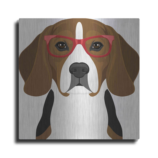 Luxe Metal Art 'Beagle Wearing Hipster Glasses 2' by Olga and Alexey Drozdov, Metal Wall Art