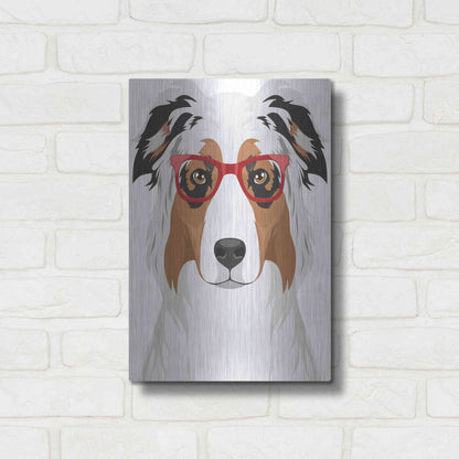 Luxe Metal Art 'Australian Shepherd Wearing Hipster Glasses' by Olga and Alexey Drozdov, Metal Wall Art,12x16