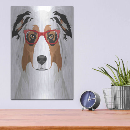 Luxe Metal Art 'Australian Shepherd Wearing Hipster Glasses' by Olga and Alexey Drozdov, Metal Wall Art,12x16