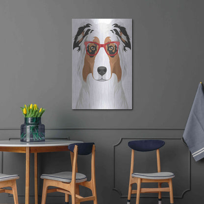 Luxe Metal Art 'Australian Shepherd Wearing Hipster Glasses' by Olga and Alexey Drozdov, Metal Wall Art,24x36