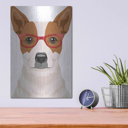 Luxe Metal Art 'Australian Cattle Dog Wearing Hipster Glasses' by Olga and Alexey Drozdov, Metal Wall Art,12x16
