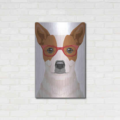 Luxe Metal Art 'Australian Cattle Dog Wearing Hipster Glasses' by Olga and Alexey Drozdov, Metal Wall Art,24x36
