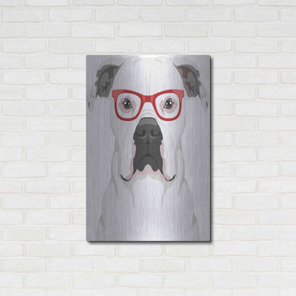 Luxe Metal Art 'American Bulldog Wearing Hipster Glasses' by Olga and Alexey Drozdov, Metal Wall Art,24x36