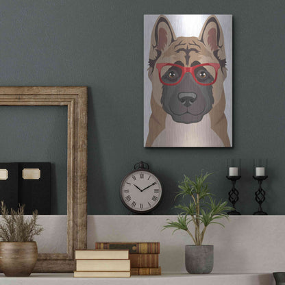 Luxe Metal Art 'Akita Wearing Hipster Glasses' by Olga and Alexey Drozdov, Metal Wall Art,12x16
