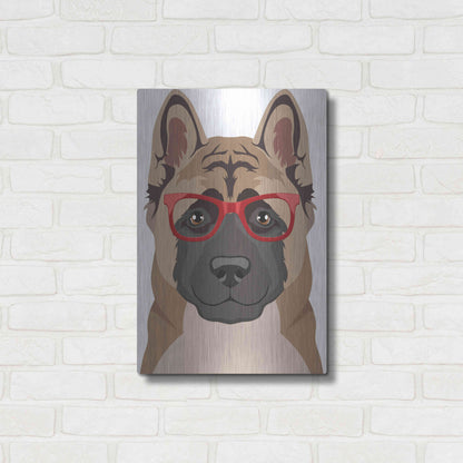 Luxe Metal Art 'Akita Wearing Hipster Glasses' by Olga and Alexey Drozdov, Metal Wall Art,16x24