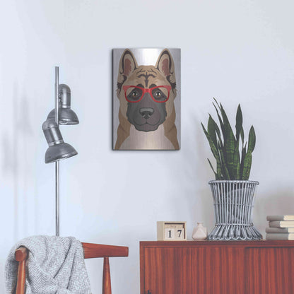 Luxe Metal Art 'Akita Wearing Hipster Glasses' by Olga and Alexey Drozdov, Metal Wall Art,16x24
