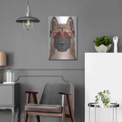 Luxe Metal Art 'Akita Wearing Hipster Glasses' by Olga and Alexey Drozdov, Metal Wall Art,16x24