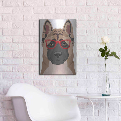Luxe Metal Art 'Akita Wearing Hipster Glasses' by Olga and Alexey Drozdov, Metal Wall Art,16x24