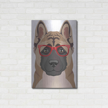 Luxe Metal Art 'Akita Wearing Hipster Glasses' by Olga and Alexey Drozdov, Metal Wall Art,24x36