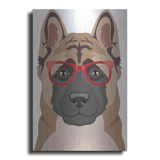 Luxe Metal Art 'Akita Wearing Hipster Glasses' by Olga and Alexey Drozdov, Metal Wall Art