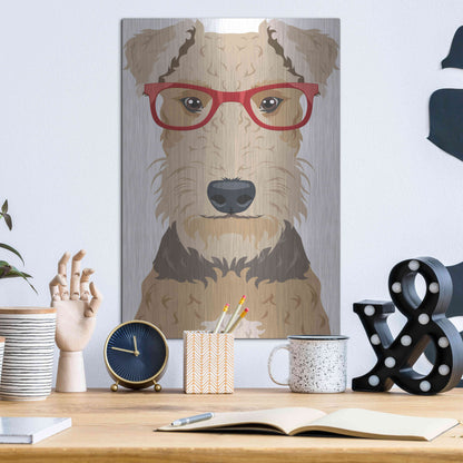 Luxe Metal Art 'Airedale Terrier Wearing Hipster Glasses' by Olga and Alexey Drozdov, Metal Wall Art,12x16