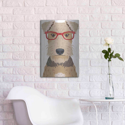 Luxe Metal Art 'Airedale Terrier Wearing Hipster Glasses' by Olga and Alexey Drozdov, Metal Wall Art,16x24