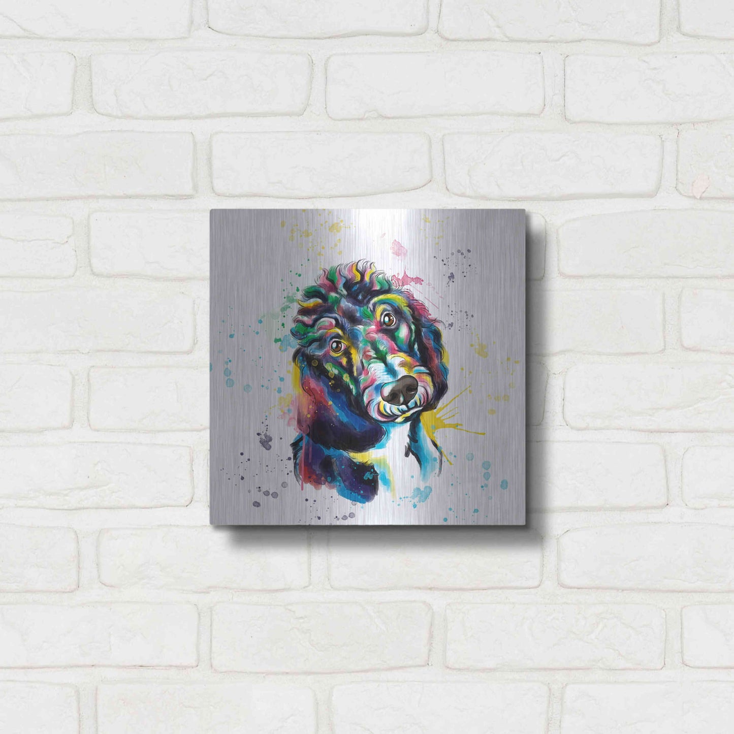 Luxe Metal Art 'Colorful Watercolor Poodle 2' by Olga and Alexey Drozdov, Metal Wall Art,12x12