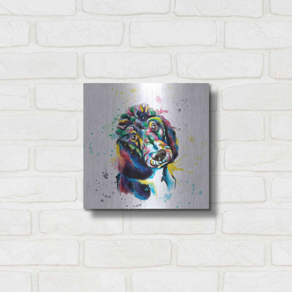 Luxe Metal Art 'Colorful Watercolor Poodle 2' by Olga and Alexey Drozdov, Metal Wall Art,12x12