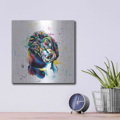 Luxe Metal Art 'Colorful Watercolor Poodle 2' by Olga and Alexey Drozdov, Metal Wall Art,12x12