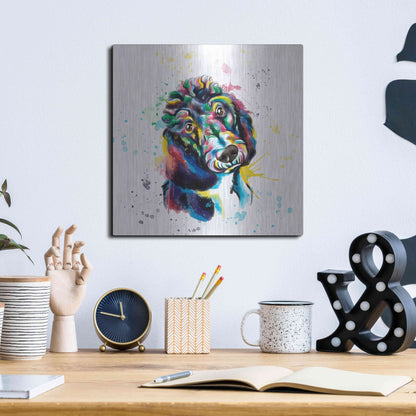 Luxe Metal Art 'Colorful Watercolor Poodle 2' by Olga and Alexey Drozdov, Metal Wall Art,12x12