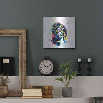 Luxe Metal Art 'Colorful Watercolor Poodle 2' by Olga and Alexey Drozdov, Metal Wall Art,12x12