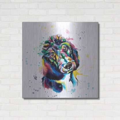 Luxe Metal Art 'Colorful Watercolor Poodle 2' by Olga and Alexey Drozdov, Metal Wall Art,36x36