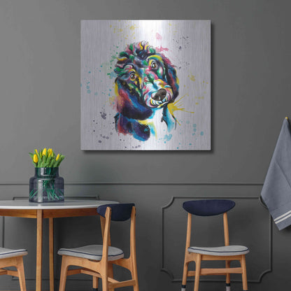 Luxe Metal Art 'Colorful Watercolor Poodle 2' by Olga and Alexey Drozdov, Metal Wall Art,36x36
