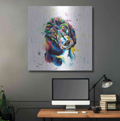 Luxe Metal Art 'Colorful Watercolor Poodle 2' by Olga and Alexey Drozdov, Metal Wall Art,36x36