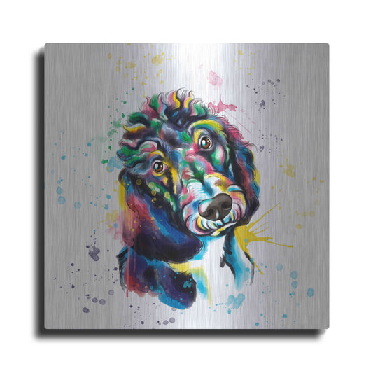 Luxe Metal Art 'Colorful Watercolor Poodle 2' by Olga and Alexey Drozdov, Metal Wall Art