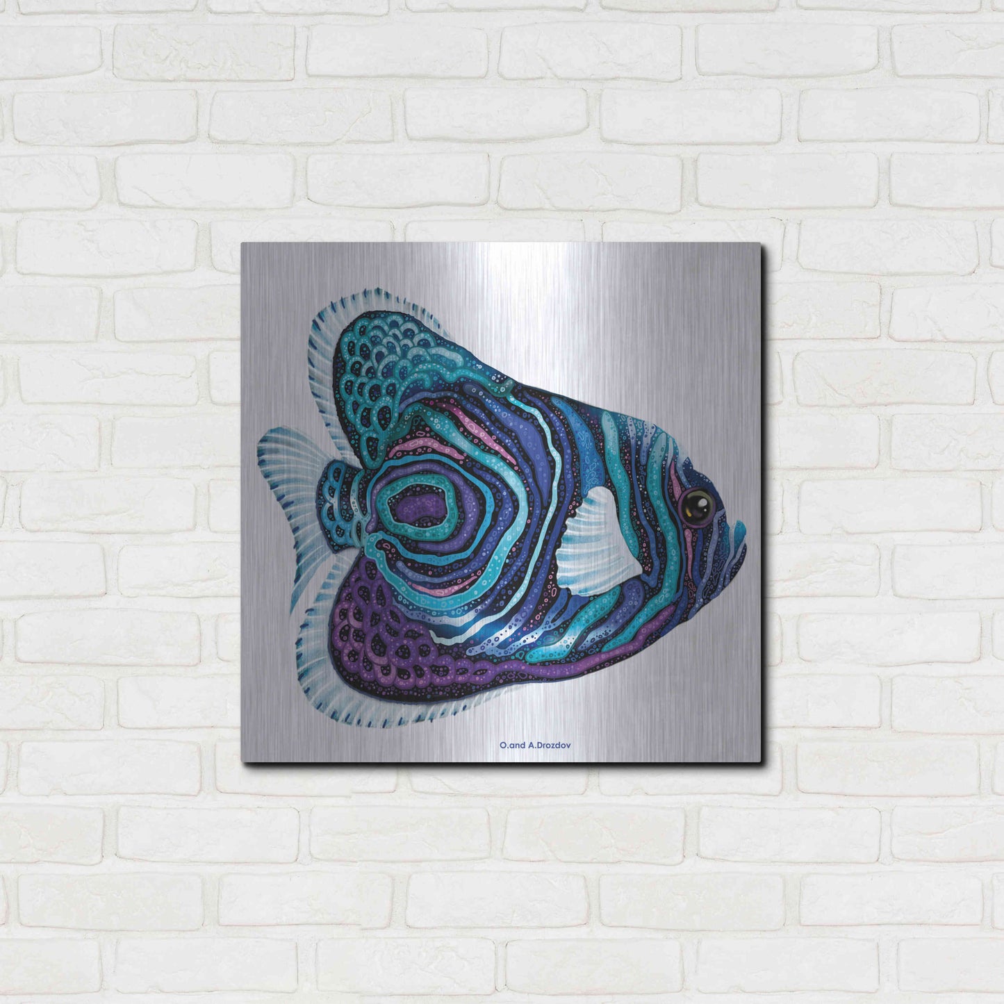 Luxe Metal Art 'New Fish 3' by Olga and Alexey Drozdov, Metal Wall Art,24x24