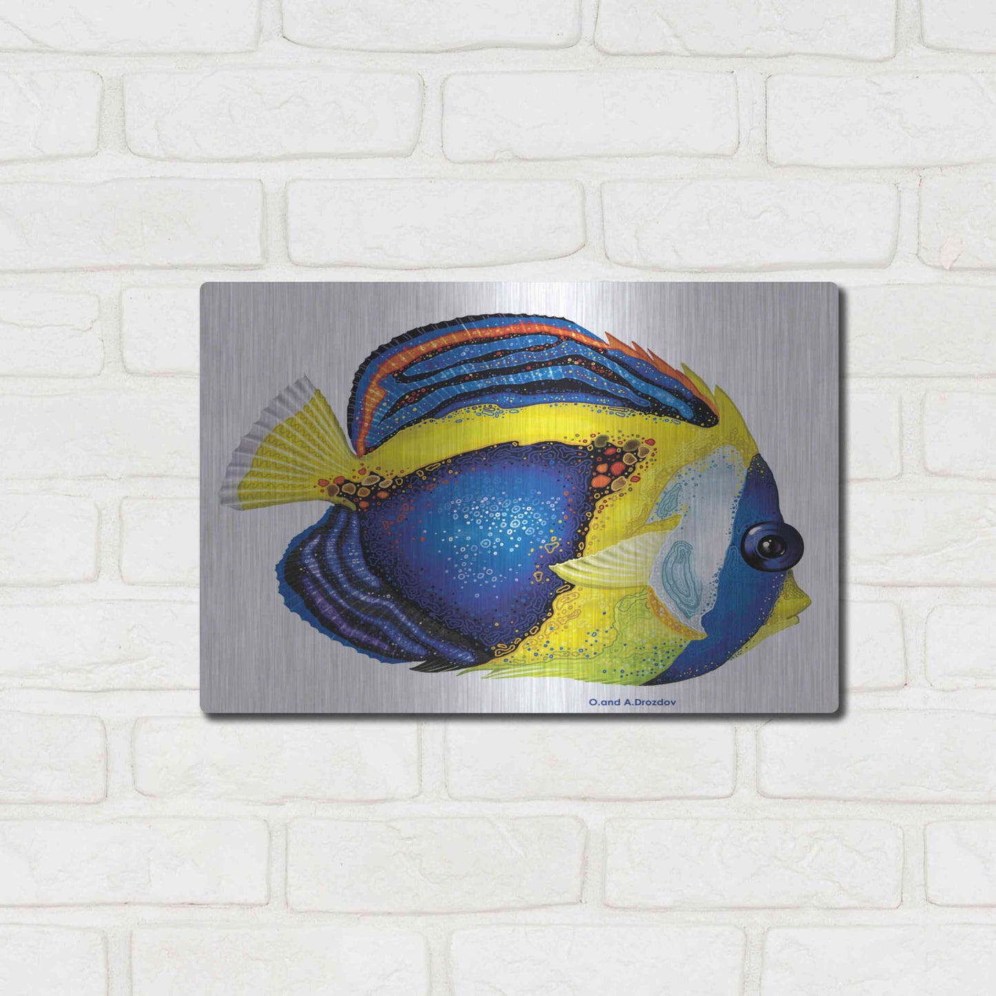 Luxe Metal Art 'New Fish 2' by Olga and Alexey Drozdov, Metal Wall Art,16x12