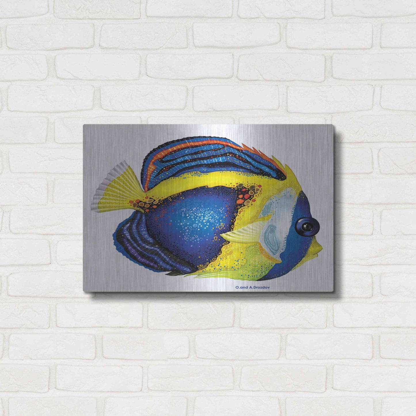 Luxe Metal Art 'New Fish 2' by Olga and Alexey Drozdov, Metal Wall Art,24x16