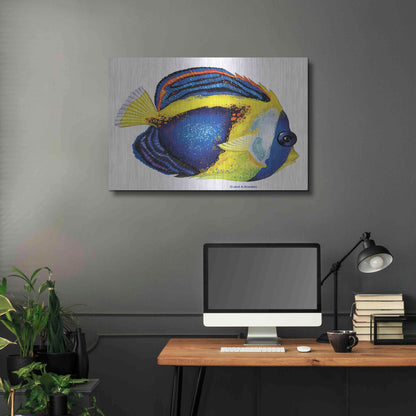 Luxe Metal Art 'New Fish 2' by Olga and Alexey Drozdov, Metal Wall Art,36x24