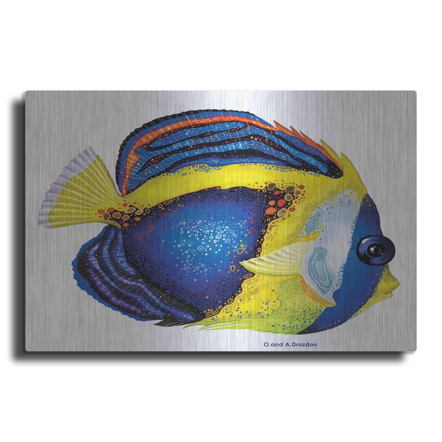 Luxe Metal Art 'New Fish 2' by Olga and Alexey Drozdov, Metal Wall Art