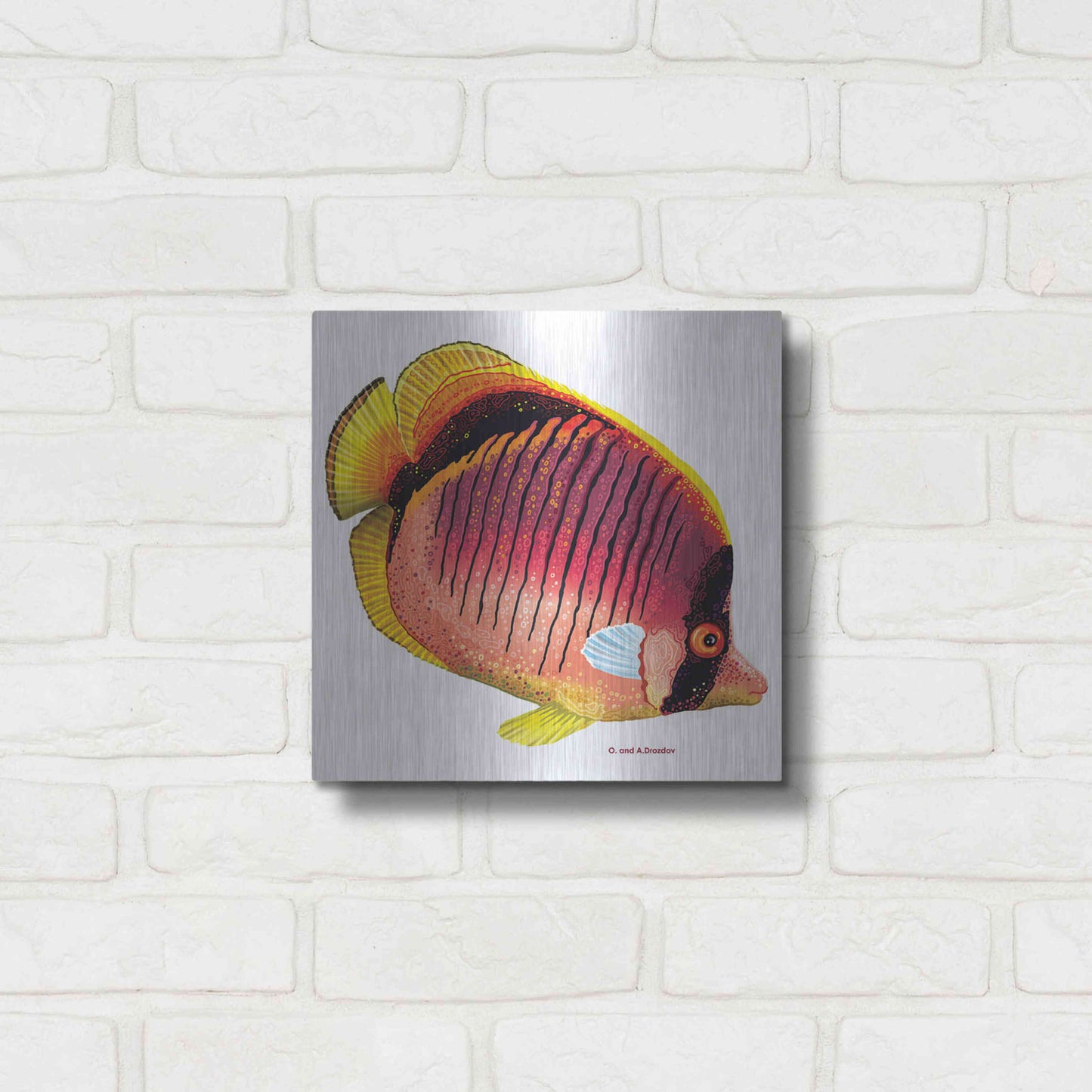 Luxe Metal Art 'New Fish 1' by Olga and Alexey Drozdov, Metal Wall Art,12x12